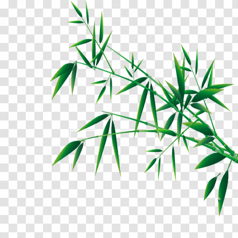 Bamboo Festival Clip Art - Leaf Transparent PNG