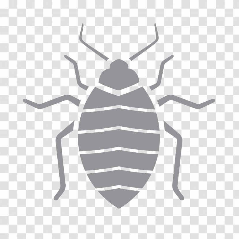 Pest Control Insect Exterminator Termite - Bed Transparent PNG
