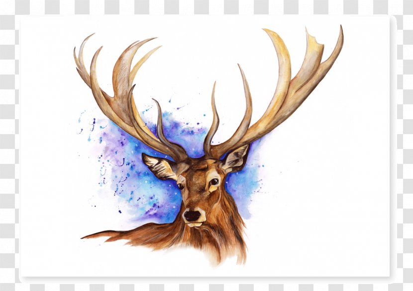 Elk Reindeer Antler Watercolor Painting - Hand-painted Deer Transparent PNG