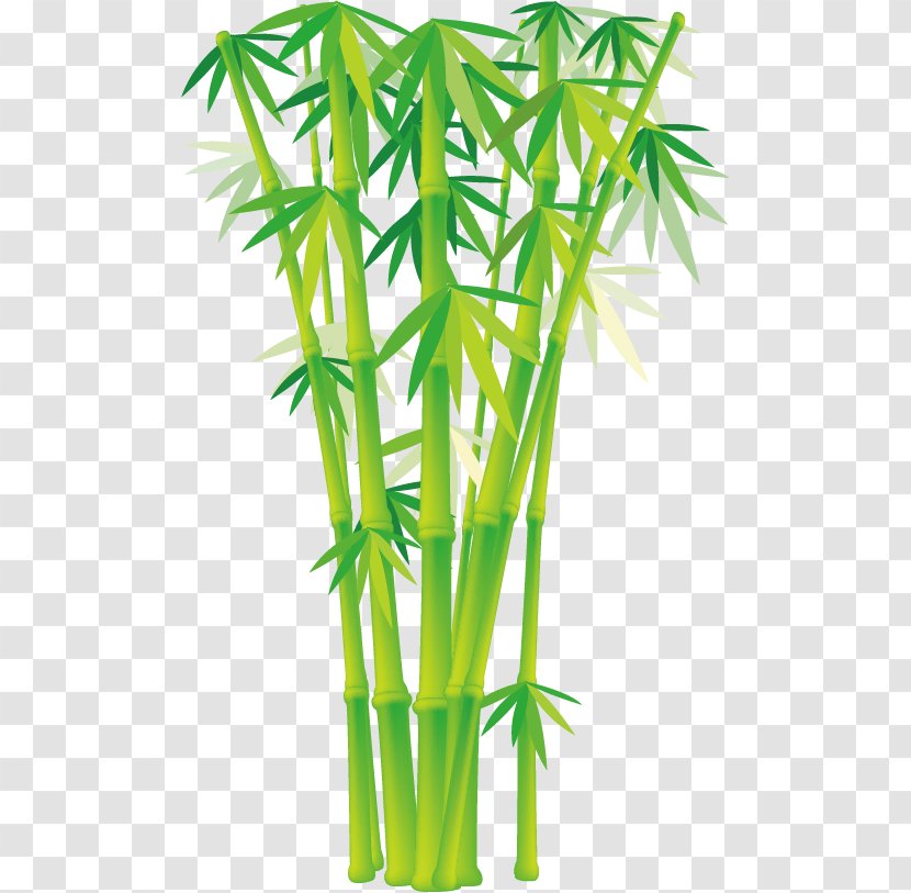 Bamboo Euclidean Vector Clip Art - Plant Stem - Cartoon Transparent PNG