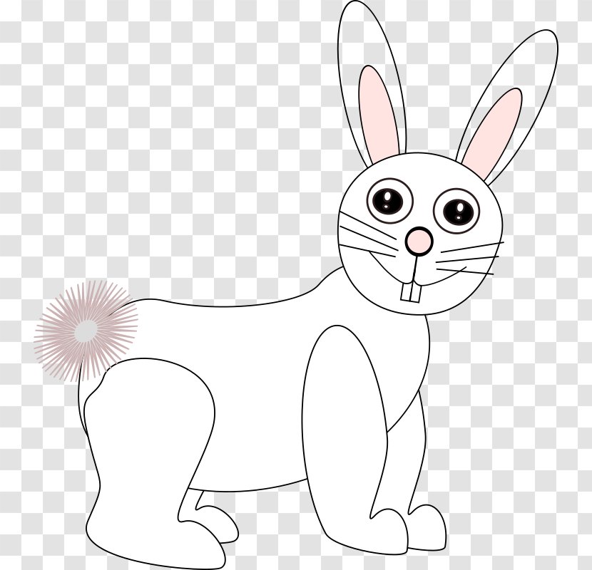 Domestic Rabbit Whiskers Hare Cat - Line Art Transparent PNG