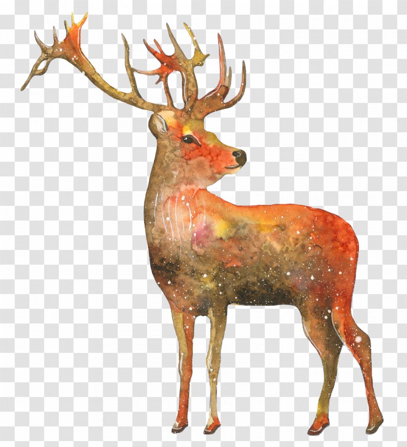 Reindeer Gift Art - Antler - Deer Transparent PNG