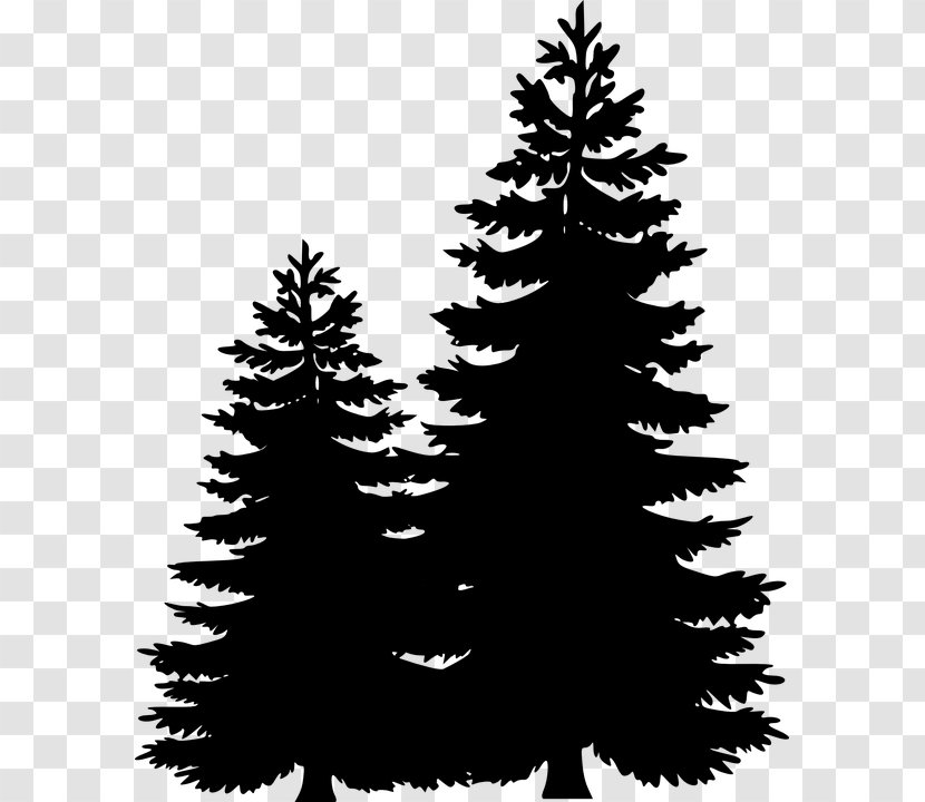 Clip Art Pine Tree Image - Woody Plant - Evergreen Transparent PNG