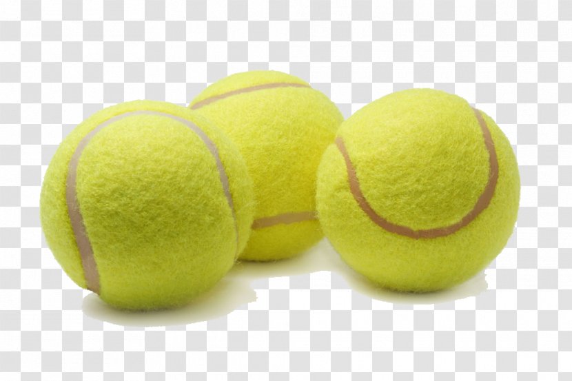 Tennis Ball - Sports Equipment Transparent PNG