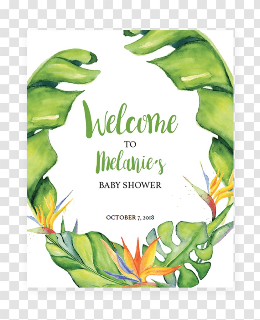 Watercolor Painting Baby Shower - One Banana Leaf Transparent PNG