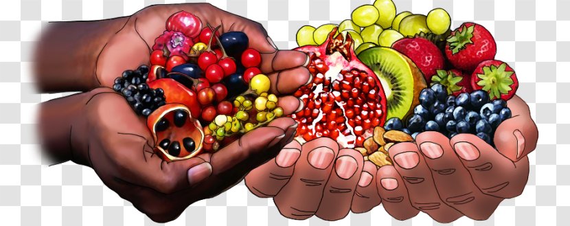 Superfood Nail Local Food Vegetable - Australian Aboriginal People Transparent PNG