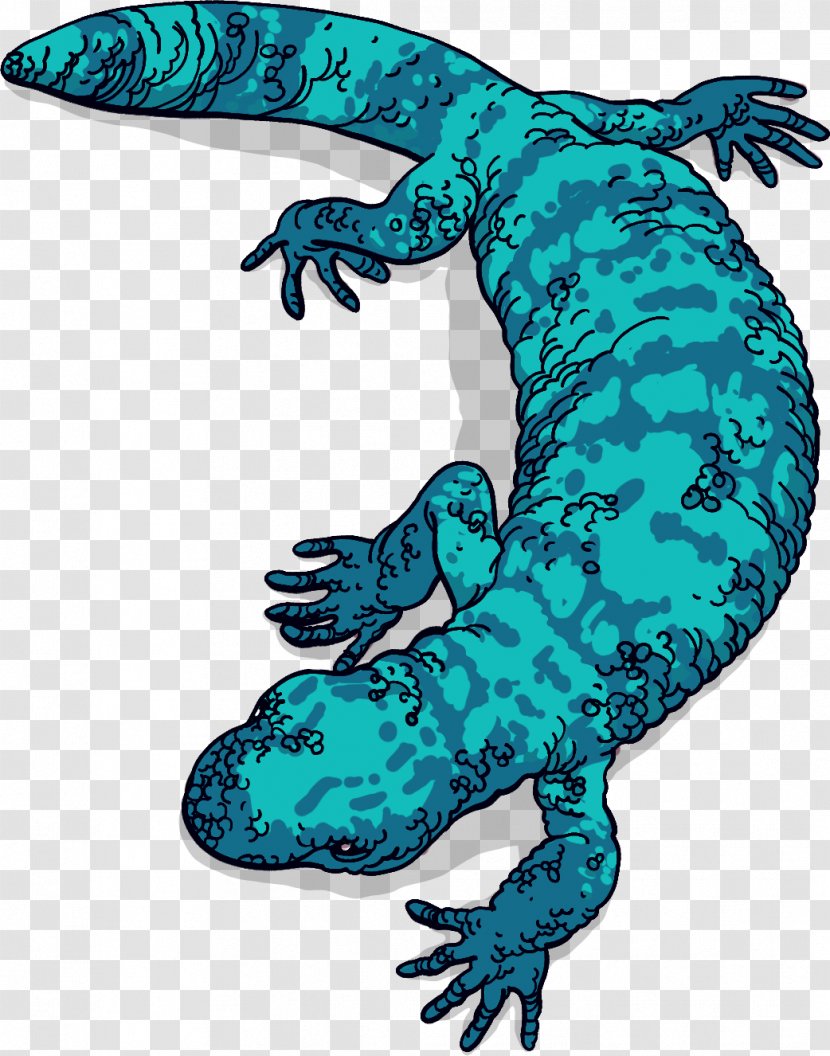Gila Monster Lizard Reptile Exenatide Venom Transparent PNG