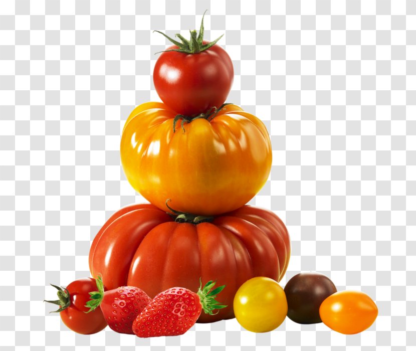 Plum Tomato Savéol Bush Plougastel-Daoulas - Planter Ideas Transparent PNG