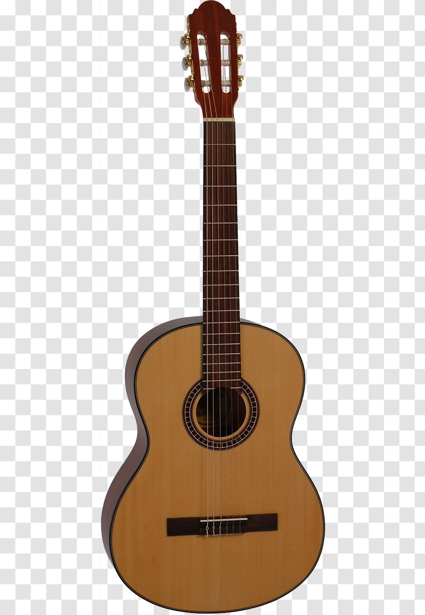 C. F. Martin & Company Acoustic Guitar Ukulele Acoustic-electric - Flower Transparent PNG