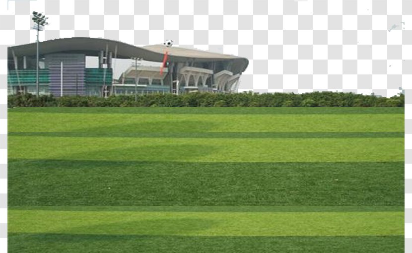 Artificial Turf Lawn Football Pitch - Energy - Filled With Sand And Colloidal Composition Of The Transparent PNG