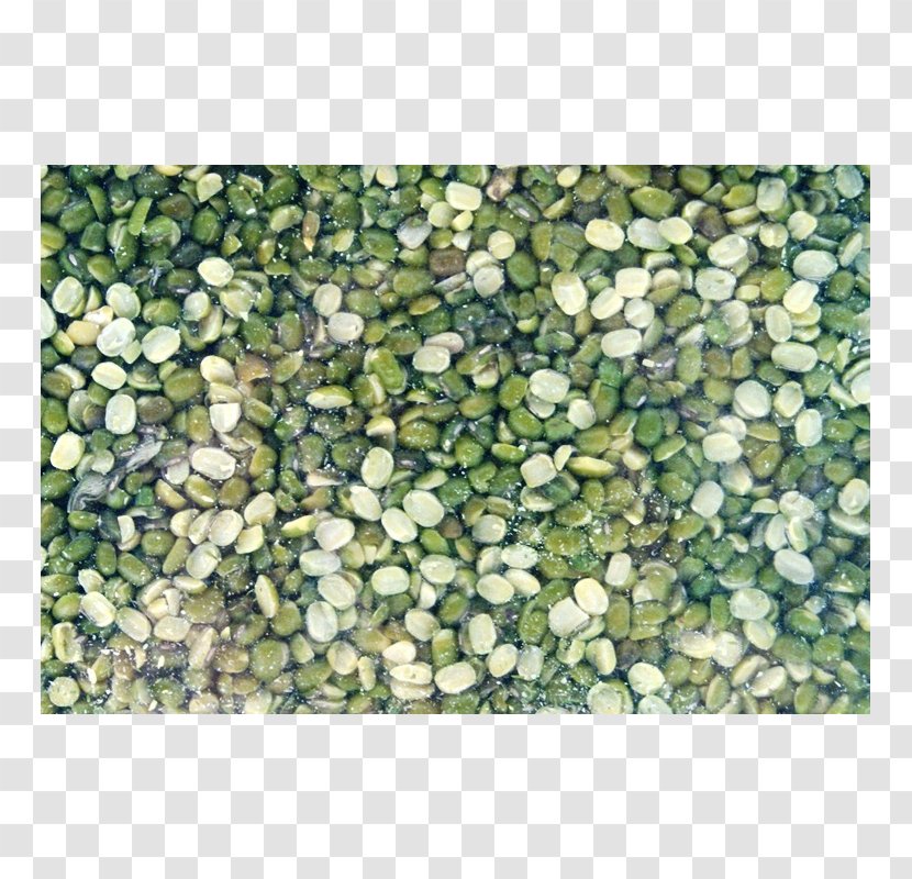 Pebble Gravel - Green - Dalì Transparent PNG