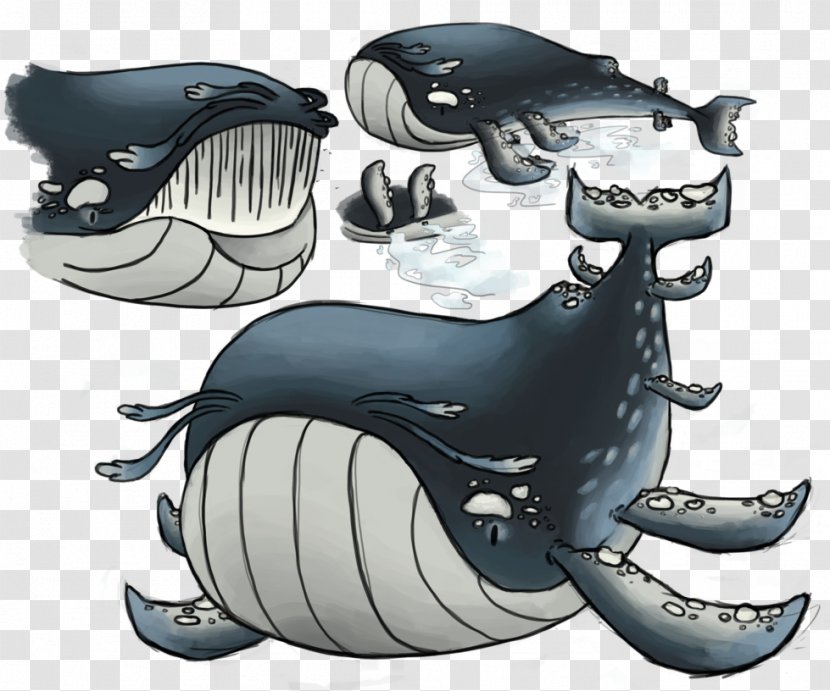 Marine Mammal Cartoon - Organism - Design Transparent PNG