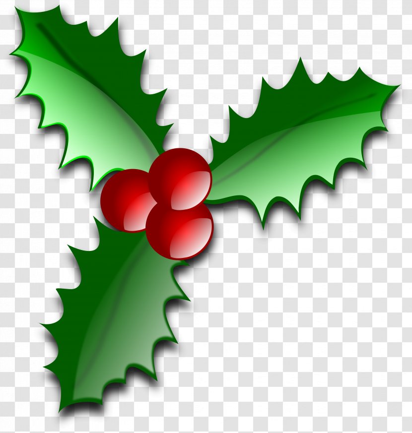 Common Holly Christmas Leaf Clip Art - Fruit - Image Transparent PNG