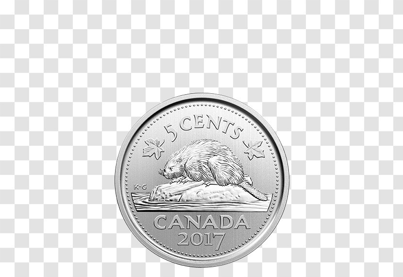 Coin Snow Goose Canadian Dollar Quarter Transparent PNG