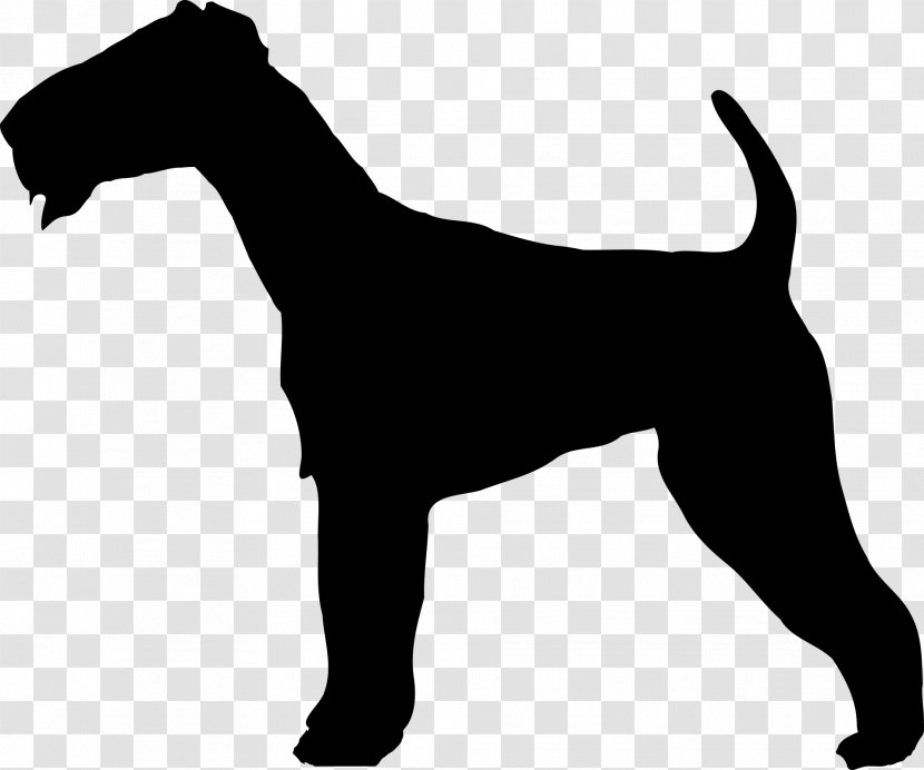Irish Terrier Border Yorkshire Welsh Jack Russell - Coat - Dog Outline Transparent PNG