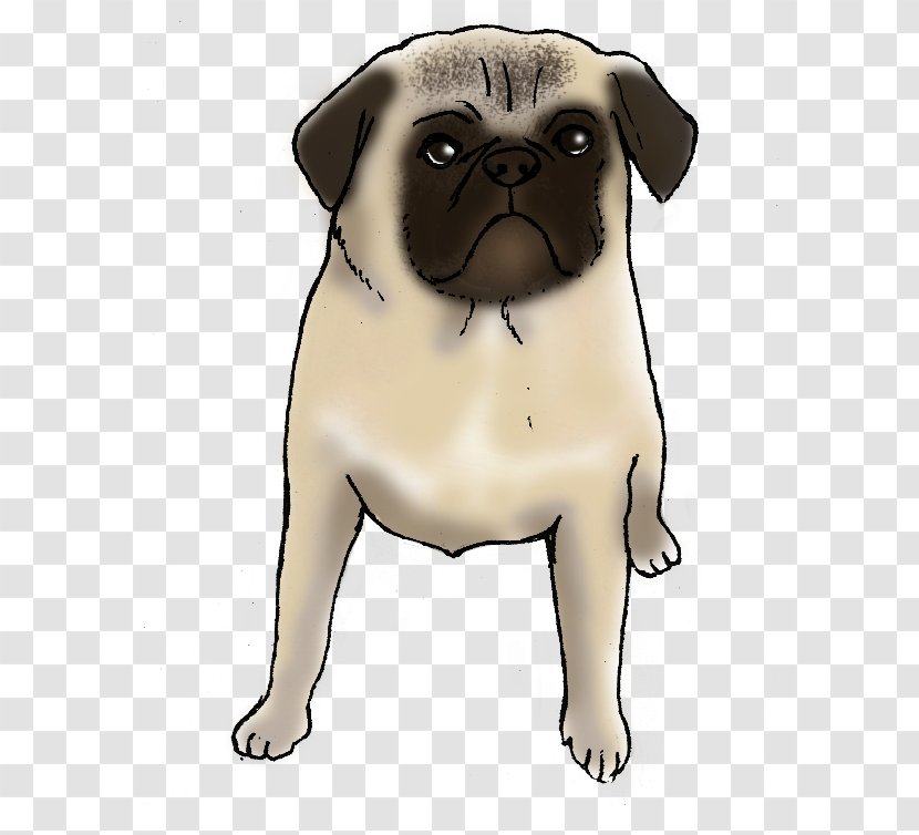 Pug Puppy Dog Breed Companion Toy - Snout - Cartoon Transparent PNG