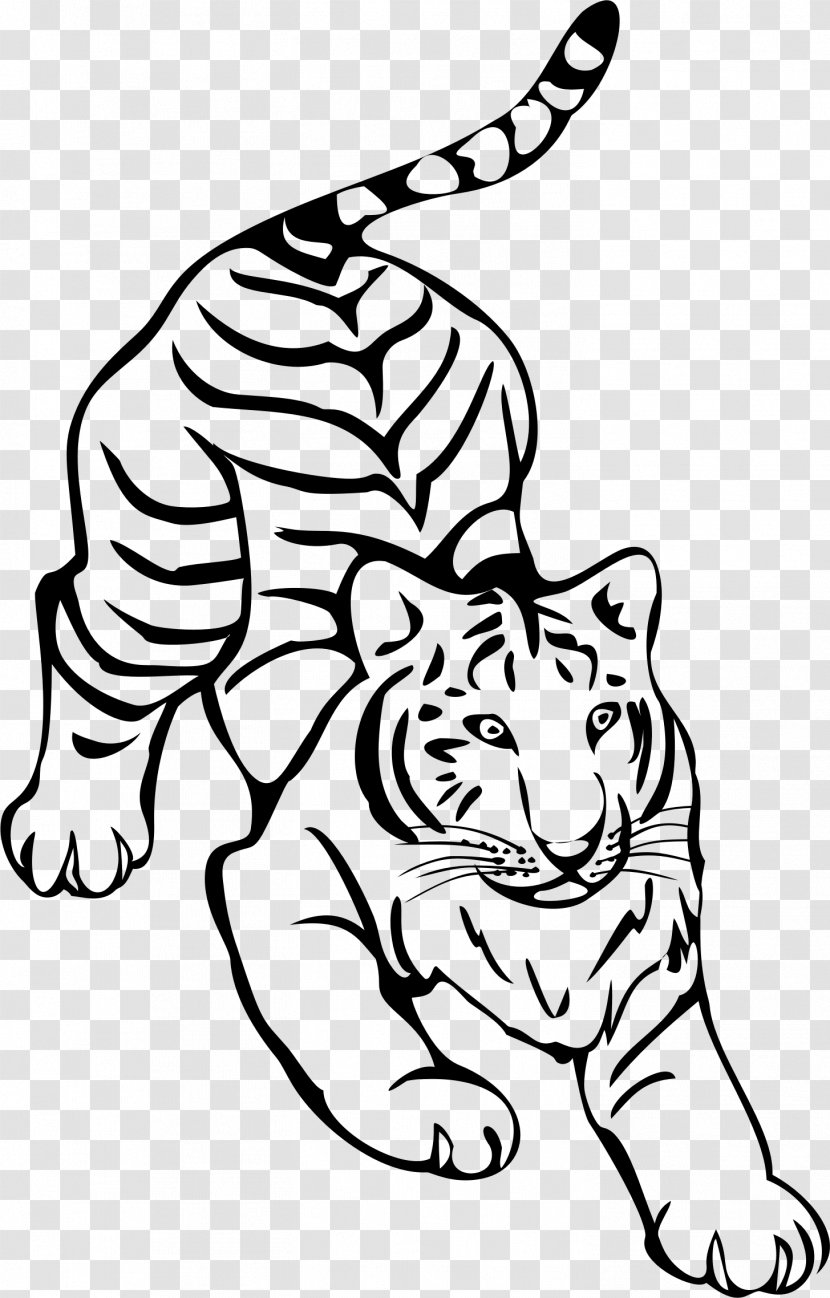 Tiger Line Art Drawing - Tail Transparent PNG