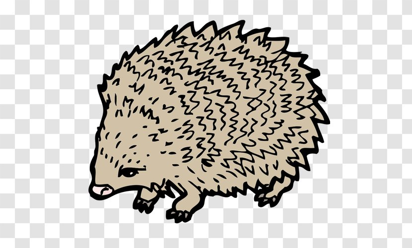 Hedgehog Drawing Clip Art - Porcupine Transparent PNG