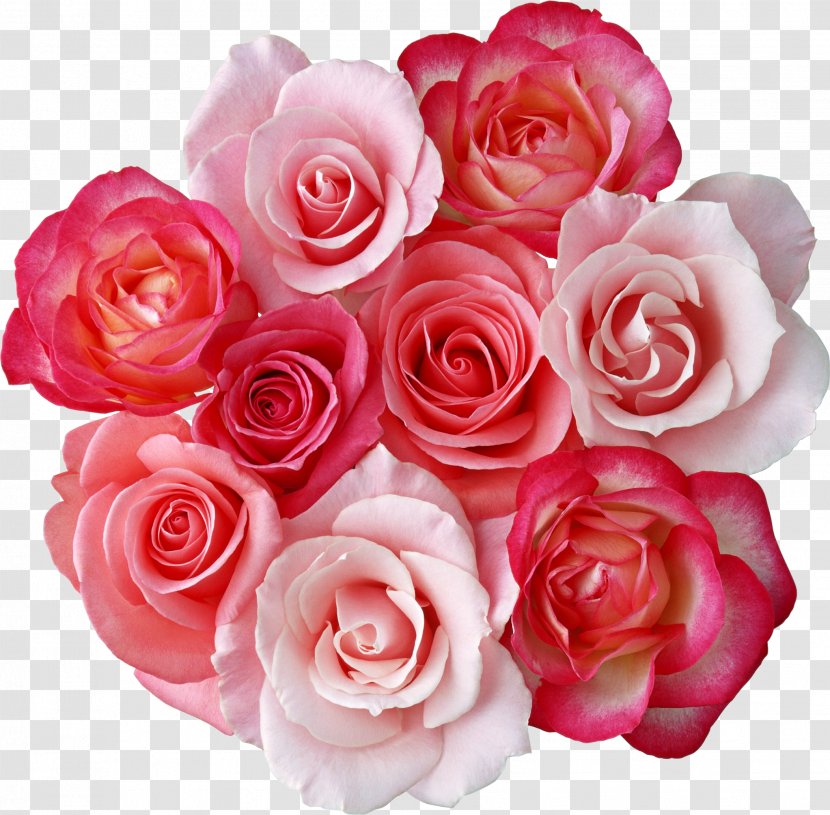 Rose Flower Bouquet Cut Flowers Clip Art - Peach - Satin Transparent PNG
