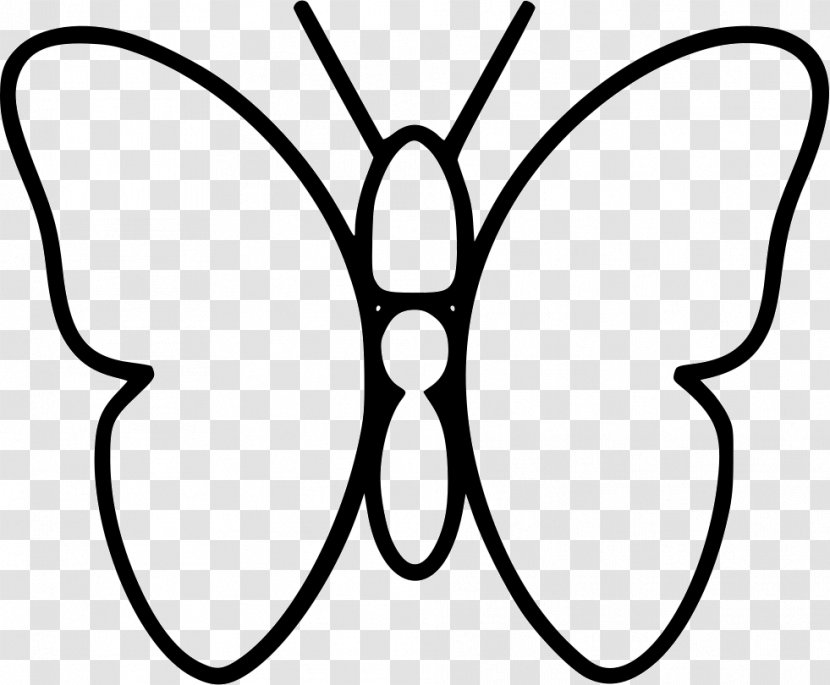 Butterfly Illustration - Symbol - Julia Transparent PNG