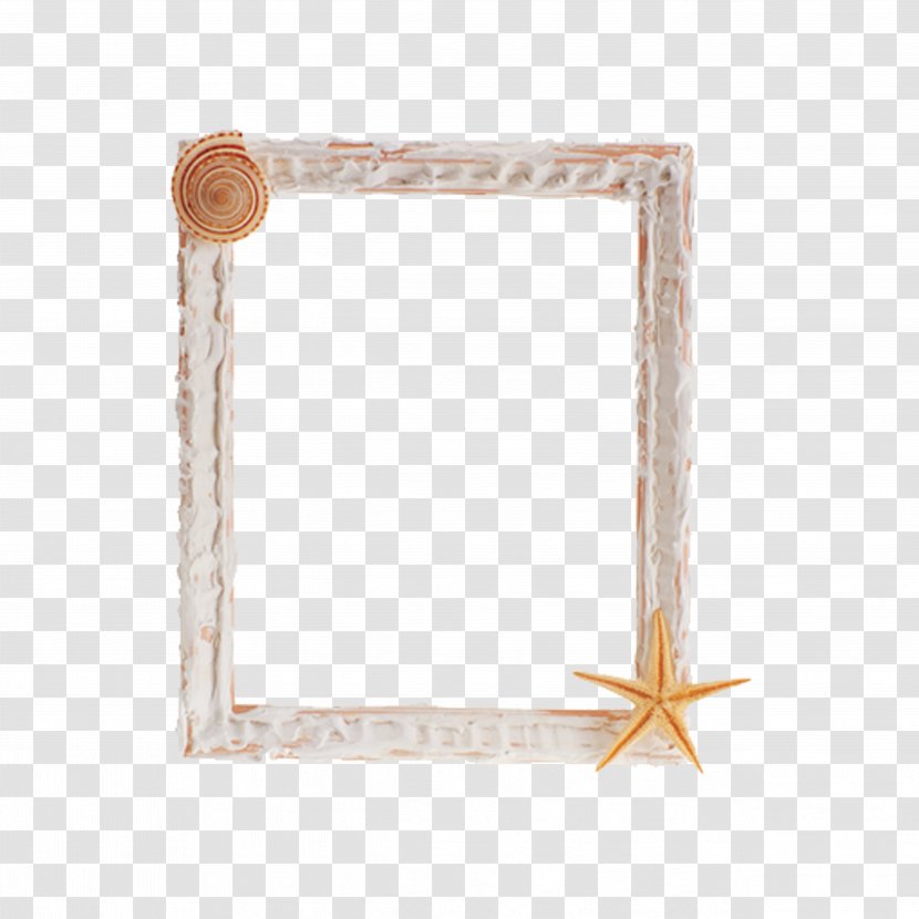 Picture Frame Photography Clip Art - Film - Shell Transparent PNG