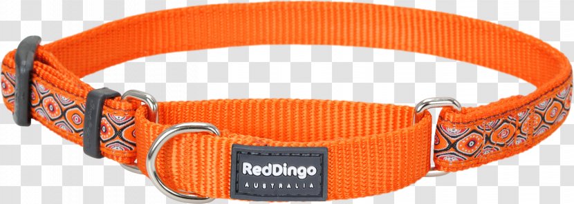 Dingo Dog Collar Martingale American Bully - Orange - Collars Transparent PNG