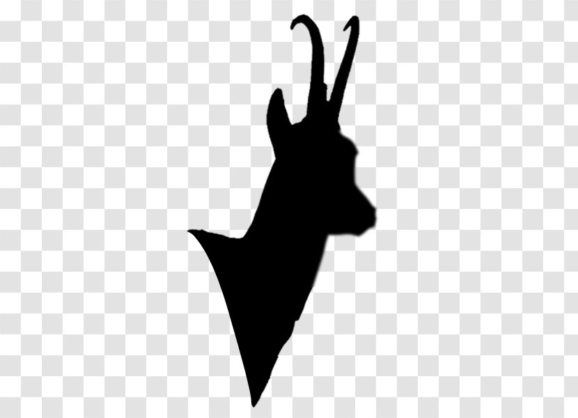 Reindeer Dog Hare Mammal Antelope - Deer Transparent PNG