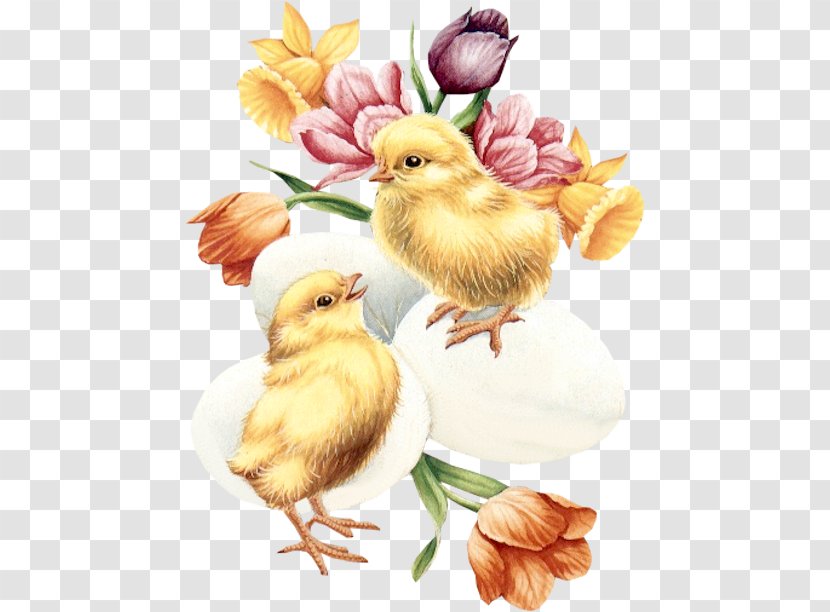 Easter Greeting Card Victorian Era Clip Art - Work Of - Chick Transparent PNG
