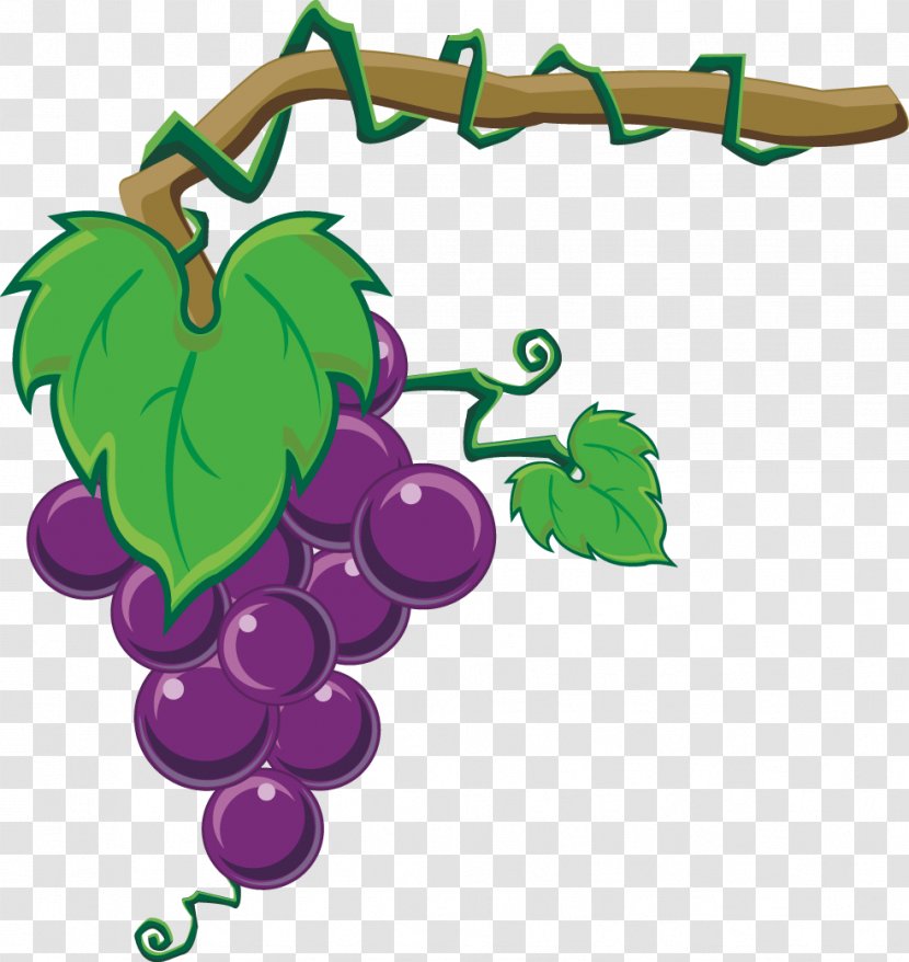 Grape Wine Auglis Fruit Clip Art - Grapes On Transparent PNG