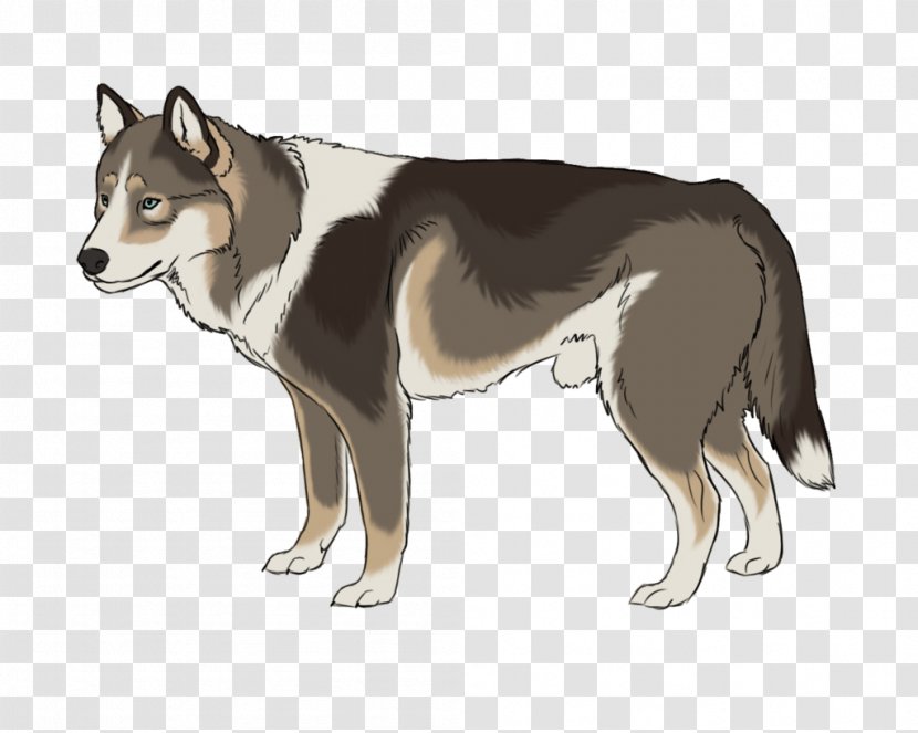 Saarloos Wolfdog Siberian Husky East Laika Czechoslovakian West - Kunming - Angry Dog Transparent PNG