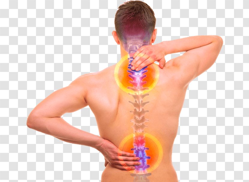 Back Pain Vertebral Column Human Body Bone - Flower - Spine Institute Transparent PNG