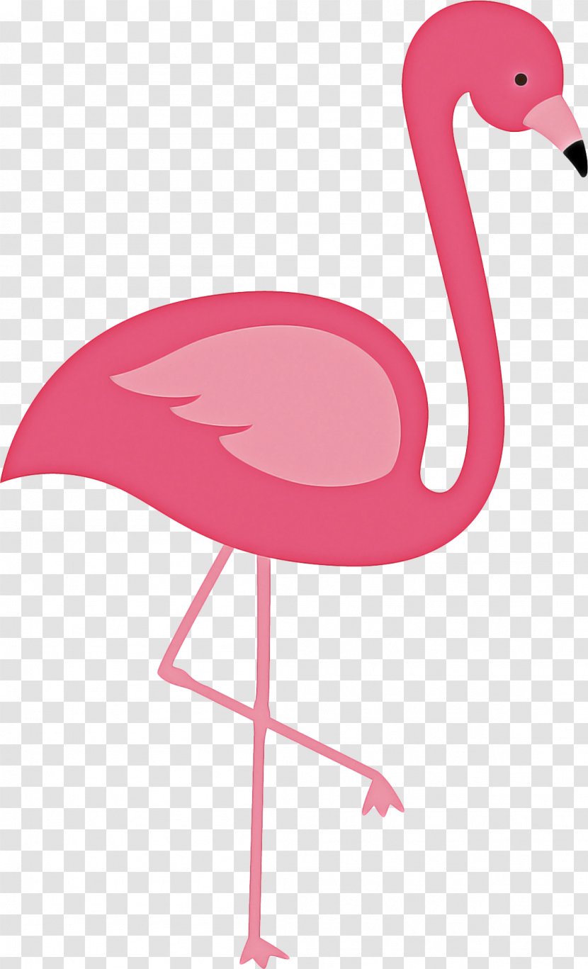 Pink Flamingo - Flamingos - Chair Furniture Transparent PNG