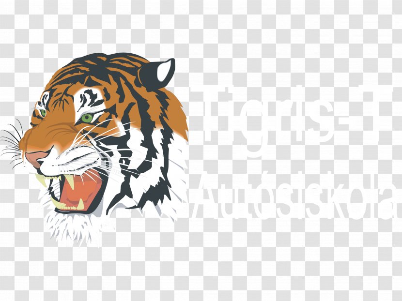 Kasson-Mantorville Senior High School Detroit Tigers Sports Football - Watercolor - Tiger Transparent PNG