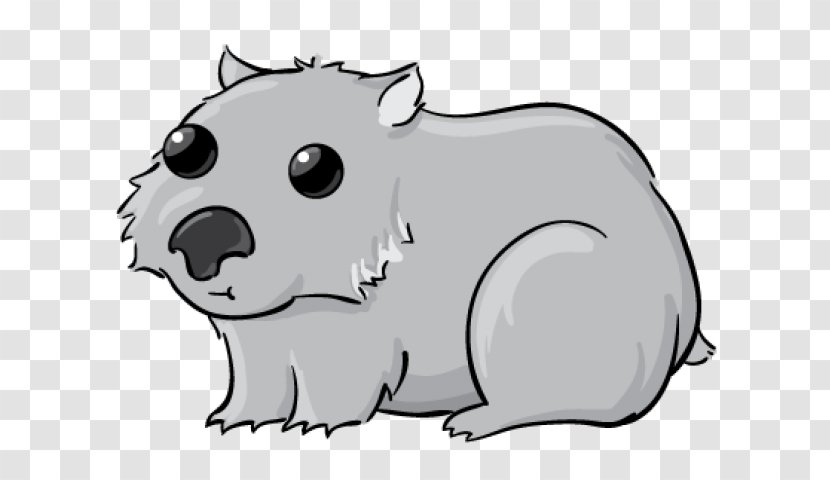 Cartoon Wombat Snout Line Art Transparent PNG