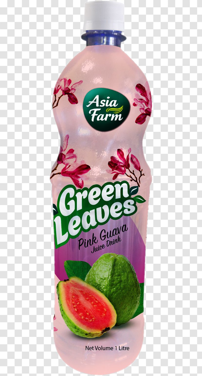 Orange Juice Squash Drink Punch - Grape - Guava Transparent PNG