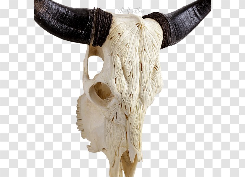Cattle Animal Skulls Skeleton XL Horns - Flower Garden - Skull Transparent PNG