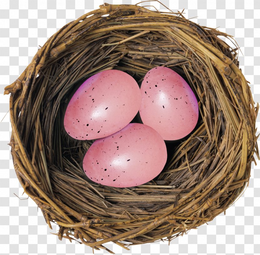 Bird Nest Deviled Egg Transparent PNG