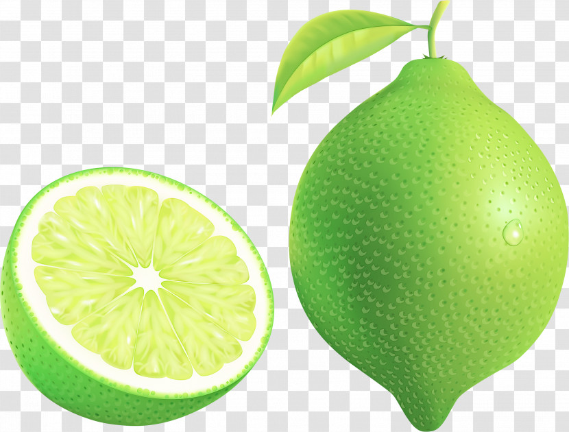 Persian Lime Fruit Citrus Green Lemon Transparent PNG