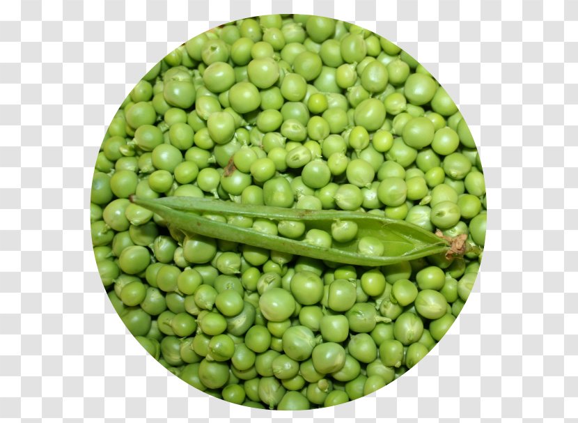 Lima Bean Vegetarian Cuisine Vegetable Food Pea - Peas Transparent PNG