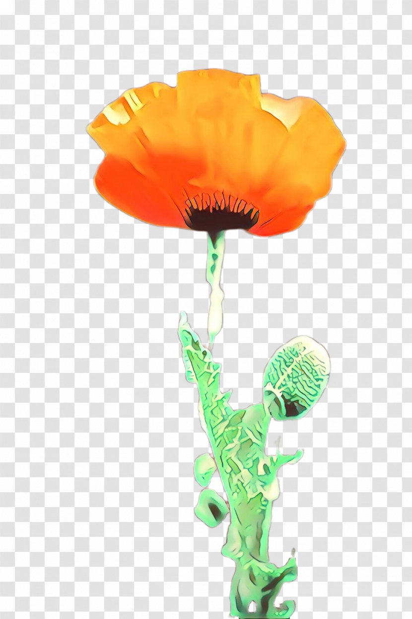 Orange - Poppy - Cut Flowers Eschscholzia Californica Transparent PNG