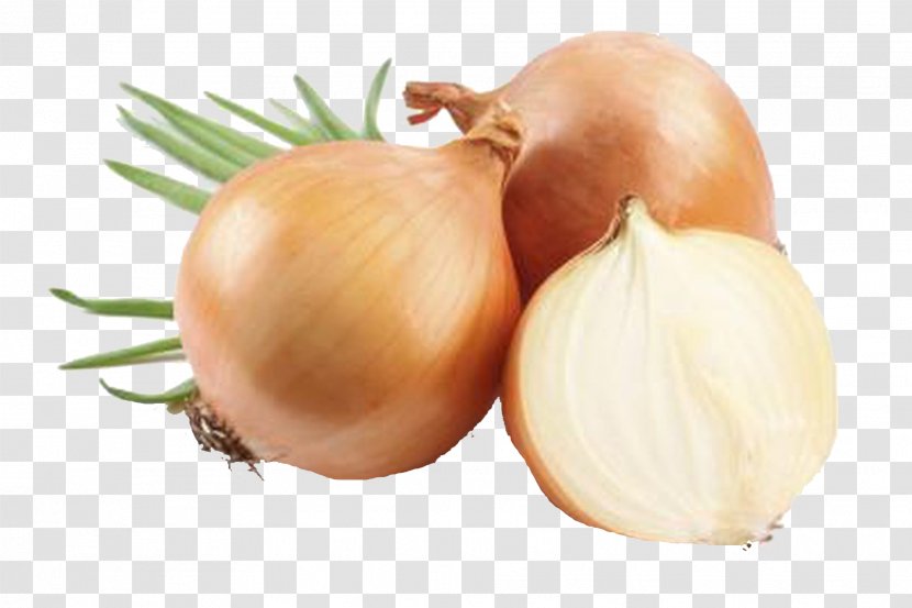 Yellow Onion Food Vegetable Red - Health Transparent PNG