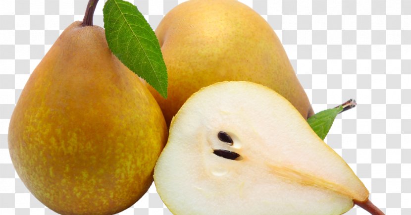 Bosc Pear Fruit Cultivar Pome - Dried Transparent PNG