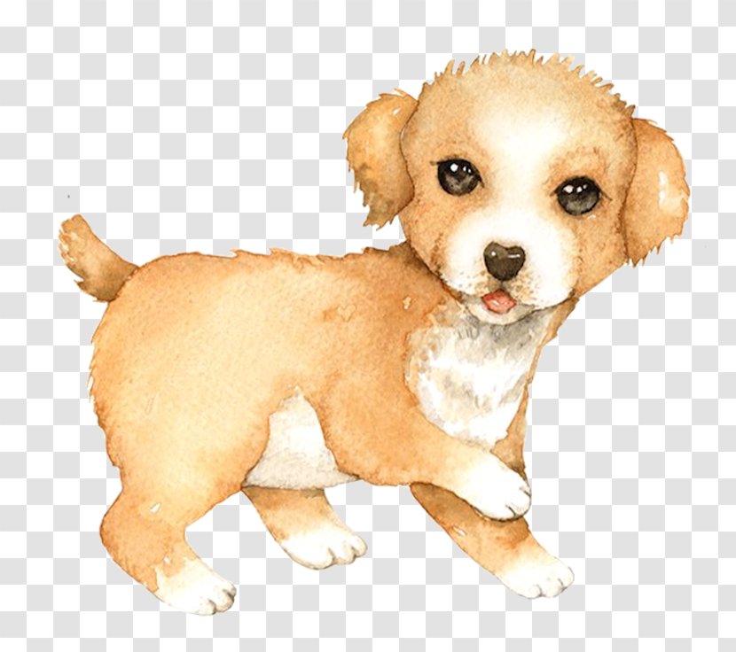 Dog Breed Puppy Golden Retriever Cat Dachshund Transparent PNG