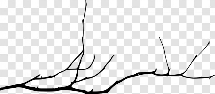 Branch Tree Twig - Watercolor Transparent PNG