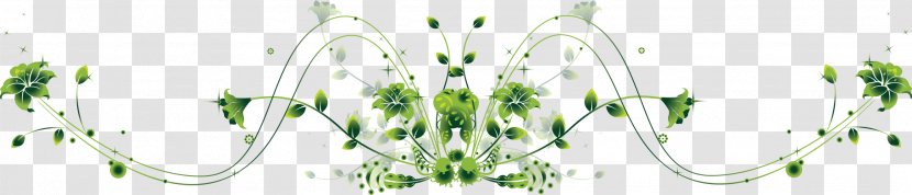 Pattern - Painting - Exquisite Classical Green Edge Transparent PNG