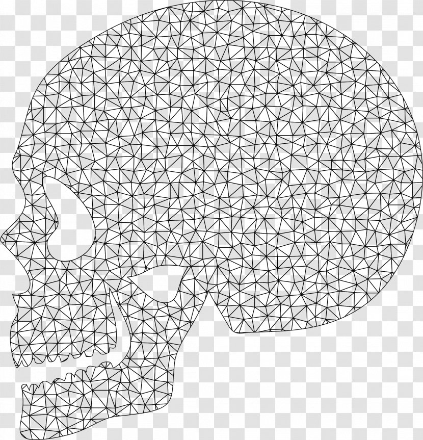 Skull Human Head Bone Anatomy - Brain Transparent PNG