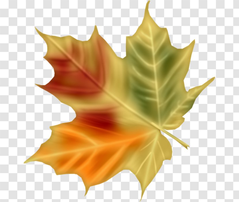 Digital Painting Leaf Clip Art Transparent PNG