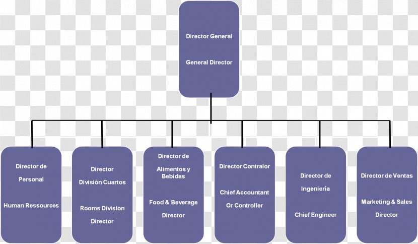 Hotel Organizational Chart Hospitality Industry Food Transparent PNG