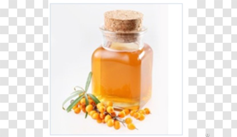 Sea Buckthorn Oil Seaberry Juice Vegetable Transparent PNG