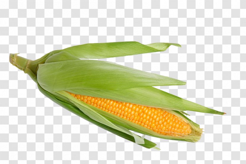 Corn On The Cob Waxy Sweet Stock Photography Corncob - Commodity Transparent PNG
